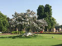 Subodh Gupta's installation, National Gallery of Modern Art, Delhi